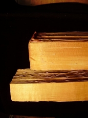 Tonewood - diverses 003  Fichte gesp.f.Klötzchen Abete spacc. per zocchetti Spruce split for cornerblocks ca 4x3x40cm   EURO 8,--