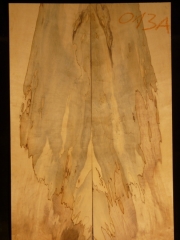 e-guit 13a  spalted maple droptop thickness 8mms € 40,--