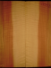 e-guit005b  Sequoia droptop 8mms € 20,--  sold