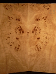 e-guit 025 poplar  € 50,--    15mms