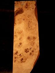 e-guit 027 poplar  € 60,--    40mms