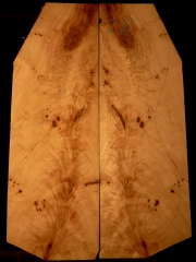 e-guit 028 poplar  € 50,--    15mms