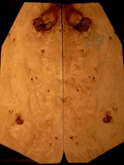 e-guit 029 poplar  € 50,--    15mms