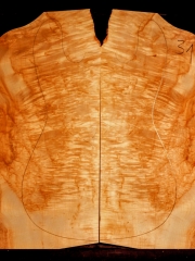 31  maple burl droptop thickness 8mms € 90,--sold