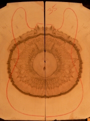 e-guit 035  maple droptop € 60,--Thickness 8 mms