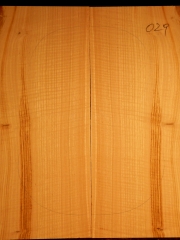 Tonewood - Guitar-chitarra - guitar 029  Ulme-elm-olmo back&ribs € 80,--