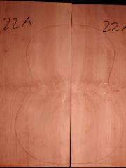 Tonewood - Guitar-chitarra - guitar22a  platano back&ribs € 60,--
