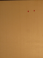 Tonewood guitartop AA € 40/45,-- (classical/western)