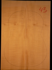 Tonewood - Guitar-chitarra 43  Boden+Zargen/Back&ribs/fondo&fasce  EURO 80,--
