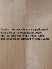 dendro-englisch