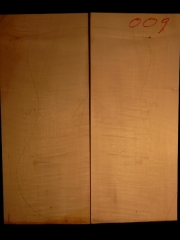 Tonewood archtop 009 back&ribs 2004 A € 110,--