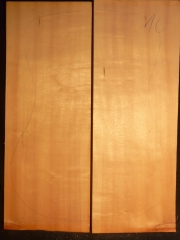 Tonewood archtop 10 top 2012 AAA € 95,--