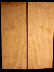 Tonewood archtop17 back & ribsAAA 2012 € 250,--