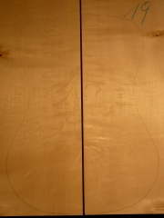 Tonewood archtop 019 top 2012 AAA €95,--