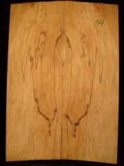 e-guit 014  spalted maple droptop Thickness 8mms € 30,--