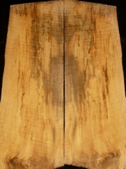 eguit002c  spalted flame maple  droptop 8mm    € 60,--   
