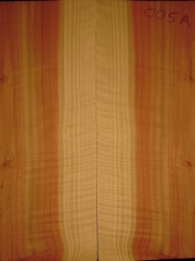e-guit005a  Sequoia droptop 8mms  € 20,--