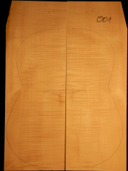 Tonewood - Guitar - 001  2004  Boden+Zargen/Back&ribs/fondo&fasce  € 60,--
