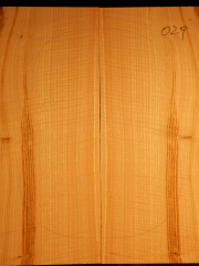 Tonewood - Guitar-chitarra - guitar 029  Ulme-elm-olmo back&ribs € 80,--