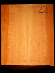 Tonewood - Guitar-chitarra - guitar22  platano back&ribs € 80,--