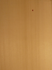 Tonewood guitartop A € 20/30,-- (classical/western)