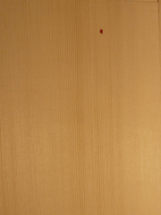 Tonewood guitartop A € 20/30,-- (classical/western)