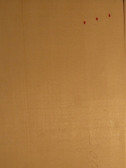 Tonewood guitartop AAA € 80/85,-- (classical/western)