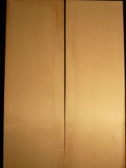Tonewood Theorbe top AAA € 85,--