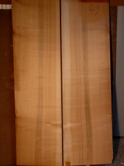 back  049   2015  Kirsche-cherry-ciliegio  AA  € 250,--