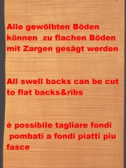 bass-1