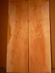 back 67    2018      Weide - salice - willow   AA  € 200,--