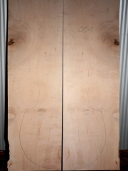 maple flatback   001  2002 AA € 300,--