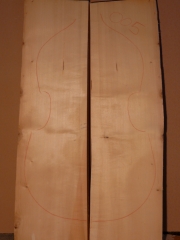 bass 005 spruce top 2007 A € 150,--