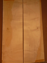 maple back  015   2008    A   € 150,--