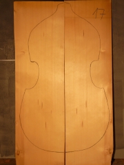 bass 17 spruce top 2010 AA € 200,--