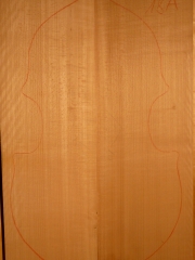 back  018a   2008  Buche-beech-faggio  AA € 300,--