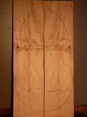 maple back 019a   2007  AAA € 450,-- SOLD