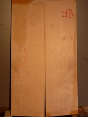 maple  back  021b   2008   back  AA   € 250,--