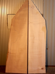 maple back 24   2010   AAA   € 500,-- SOLD