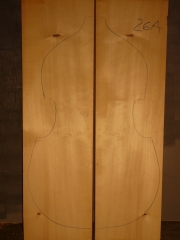bass 26A spruce top 2011   AAAA   € 400,--