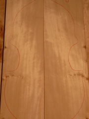 spruce top  036   2012  AA  € 200,--