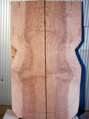 back   56   2015  Esche-Ash-Frassino   AA  € 250,-- 
