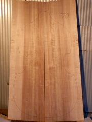 bass back 70    2018      Pappel-poplar-pioppo   AA  € 200,--