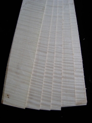 Tonewood - Lute - Liuto - Laute_001    Lautenspäne Riegelahorn Stück € 5,--  Doghe per liuto Acero marezzato  per pezzo € 5,--  Lute ribs flamed maple per piece € 5,--