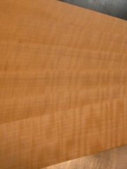 € 4,--  Lute ribs figured pear per piece € 4,--