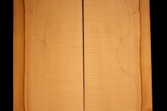 Viola da gamba