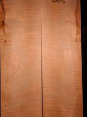 Tonewood viola da gamba 005 2013 back € 190,-- SOLD