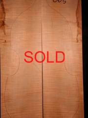 Tonewood viola da gamba 005 2013 back € 190,-- SOLD