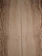 Tonewood viola da gamba 021 2015 back Esche-ash-frassino € 100,-- 
