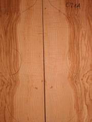 Tonewood viola da gamba 021A 2015 back Esche-ash-frassino € 100,-- SOLD
